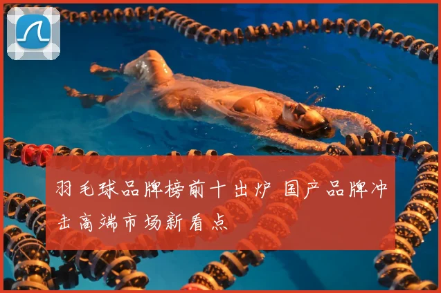 羽毛球品牌榜前十出炉 国产品牌冲击高端市场新看点