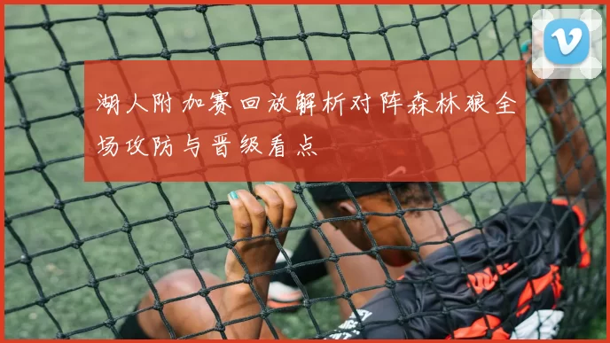 湖人附加赛回放解析对阵森林狼全场攻防与晋级看点