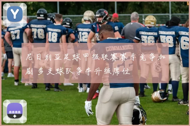 尼日利亚足球甲级联赛赛季竞争加剧 多支球队争夺升级席位